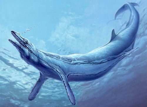 Basilosaurus - reprezentare artistică